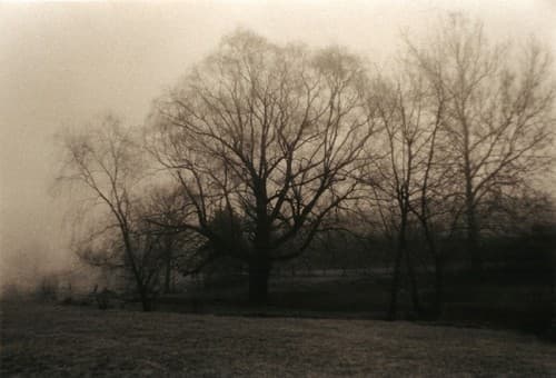 depresja jesienno-zimowa fototerapia - lampy Fotovita