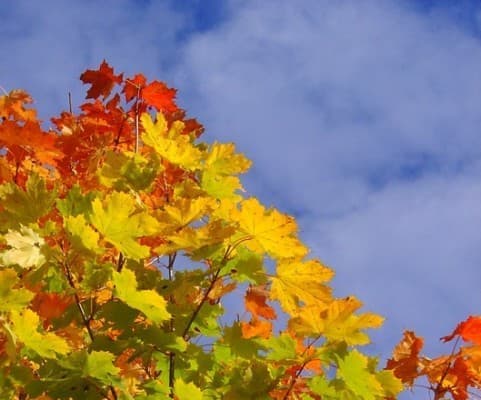 wpływ pogody na organizm człowieka - Ultra-Viol wpływ pogody na organizm człowieka - Ultra-Viol