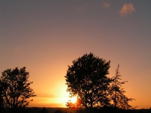 niedobór światła - lampy Fotovita - Ultraviol