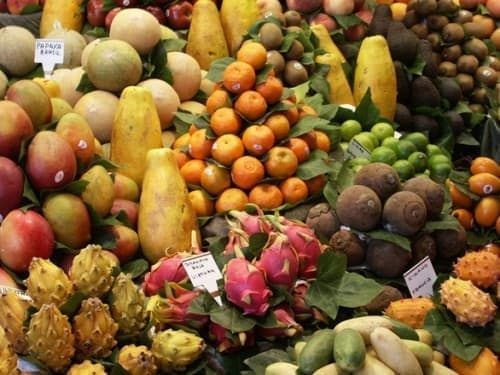 producent sprzętu medycznego - UltraViol